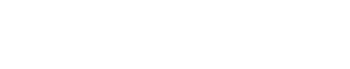 VectorCheckItTM_Logo_Wht (1)
