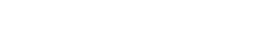 VectorCheckItTM_Logo_Wht (1)
