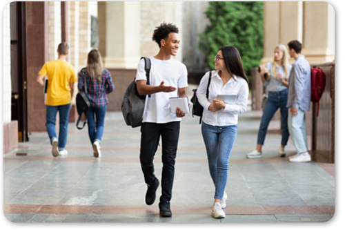 student-courses-offerings student-courses-offerings