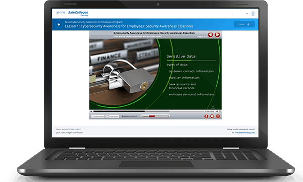 Texas Cybersecurity Awareness Program For Employees | Vector Solutions