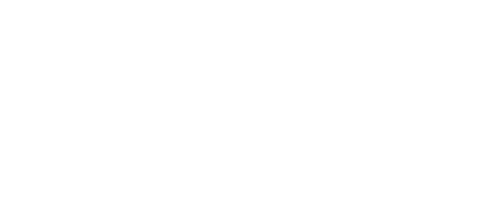VectorSolutions_Logo_Stacked_Wht 